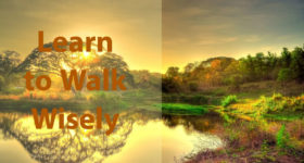 Wealth is a Decision–Yours! Learn to Walk Wisely