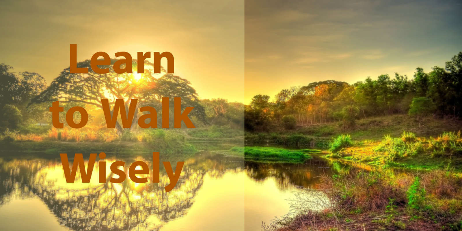 learn-to-walk-wisely-wealth-is-a-decision